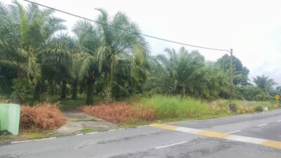 LAND FOR SALE at Batang Ai ENGKILILI Town Mixed zone Agriculture Land 8 Acres